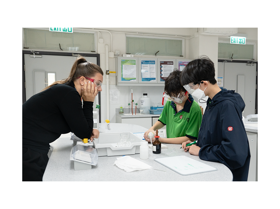 DSC08423_smaller size