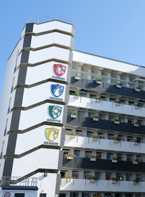 shatincolleage_0162