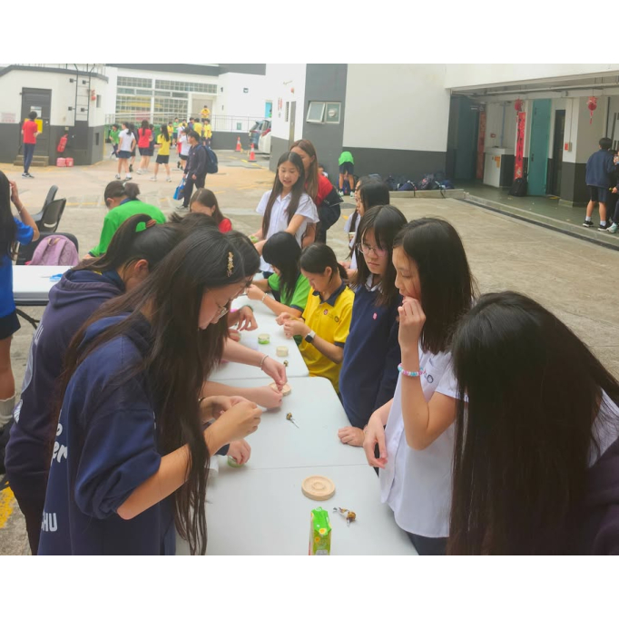 648965135_1387865610020192_2657092763095481598_n